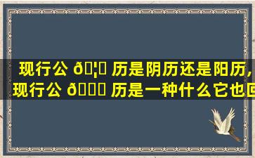 现行公 🦊 历是阴历还是阳历,现行公 🍀 历是一种什么它也回归年的长度为基本单位